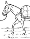 Pack Mule Coloring Page