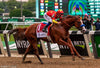 Triple Crown Champion Justify Joins the Breyer Stable!
