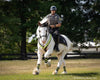 Legend - with Mounted Police Rider - © Kentucky Horse Park