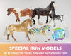 Special Run Models