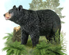 Breyer by CollectA American Black Bear Animal Figurine Model