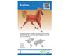 Horse Blind Bag with AR Feature - Individual Bag Model Breyer