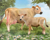 Jersey Cow and Calf - sold separately