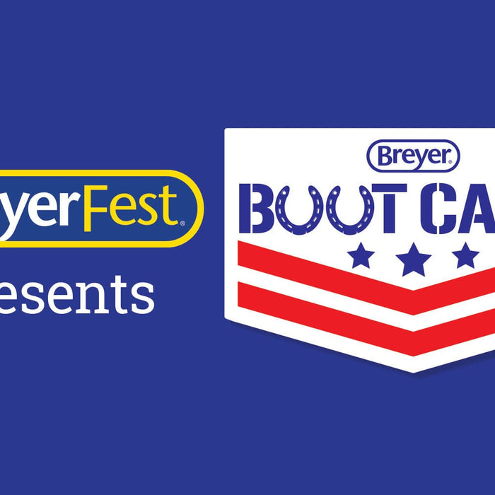 Breyer Boot Camp logo