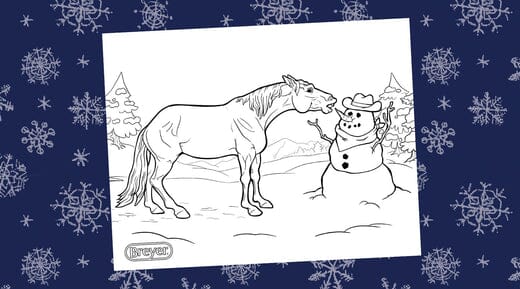 2024/2025 Winter Coloring Contest — BreyerHorses.com