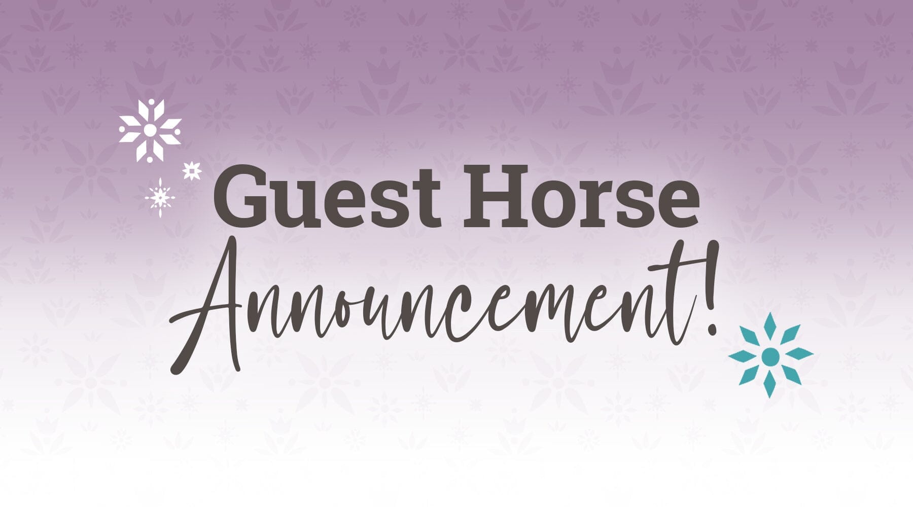 2026 Guest Horse Announcement!