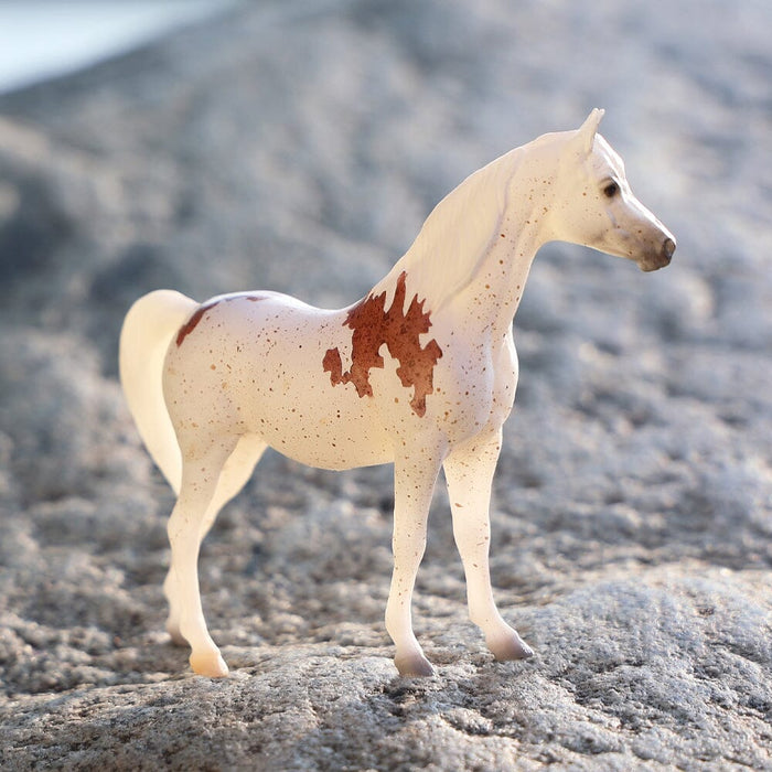 A Closer Look at 2025 Specialty Clubs