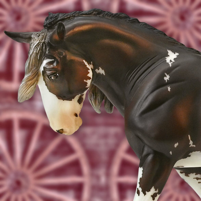 A Grand Design Indeed!