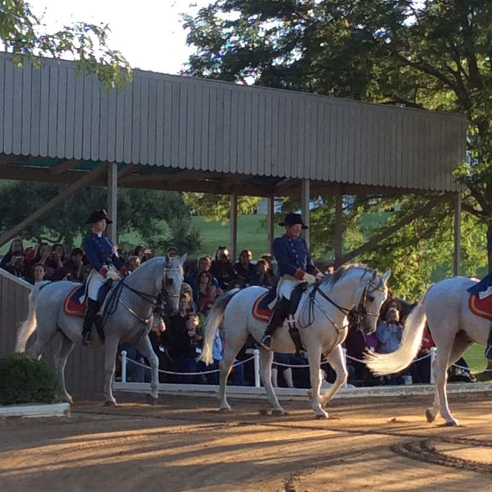 A History of Breyer VIP Events