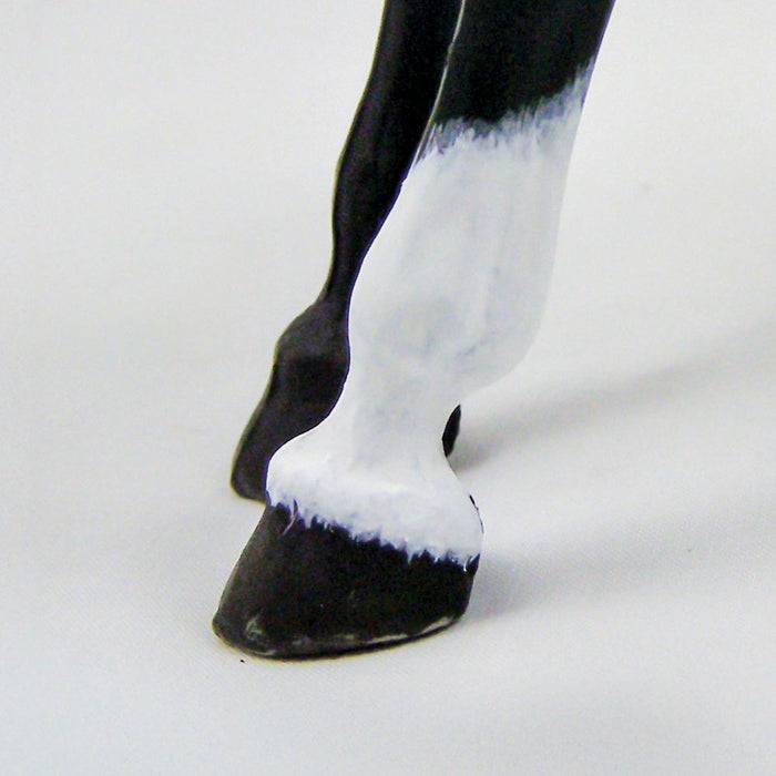 A Leg Up: New Markings for Your Model