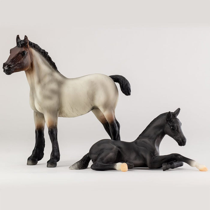 A Look Back - Fun Foals