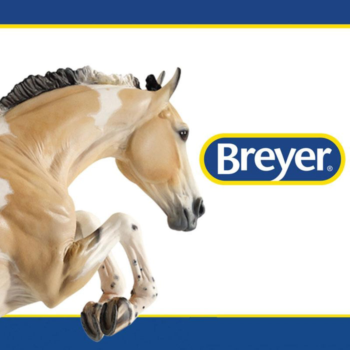 A message from Breyer regarding COVID-19 (Novel Coronavirus)