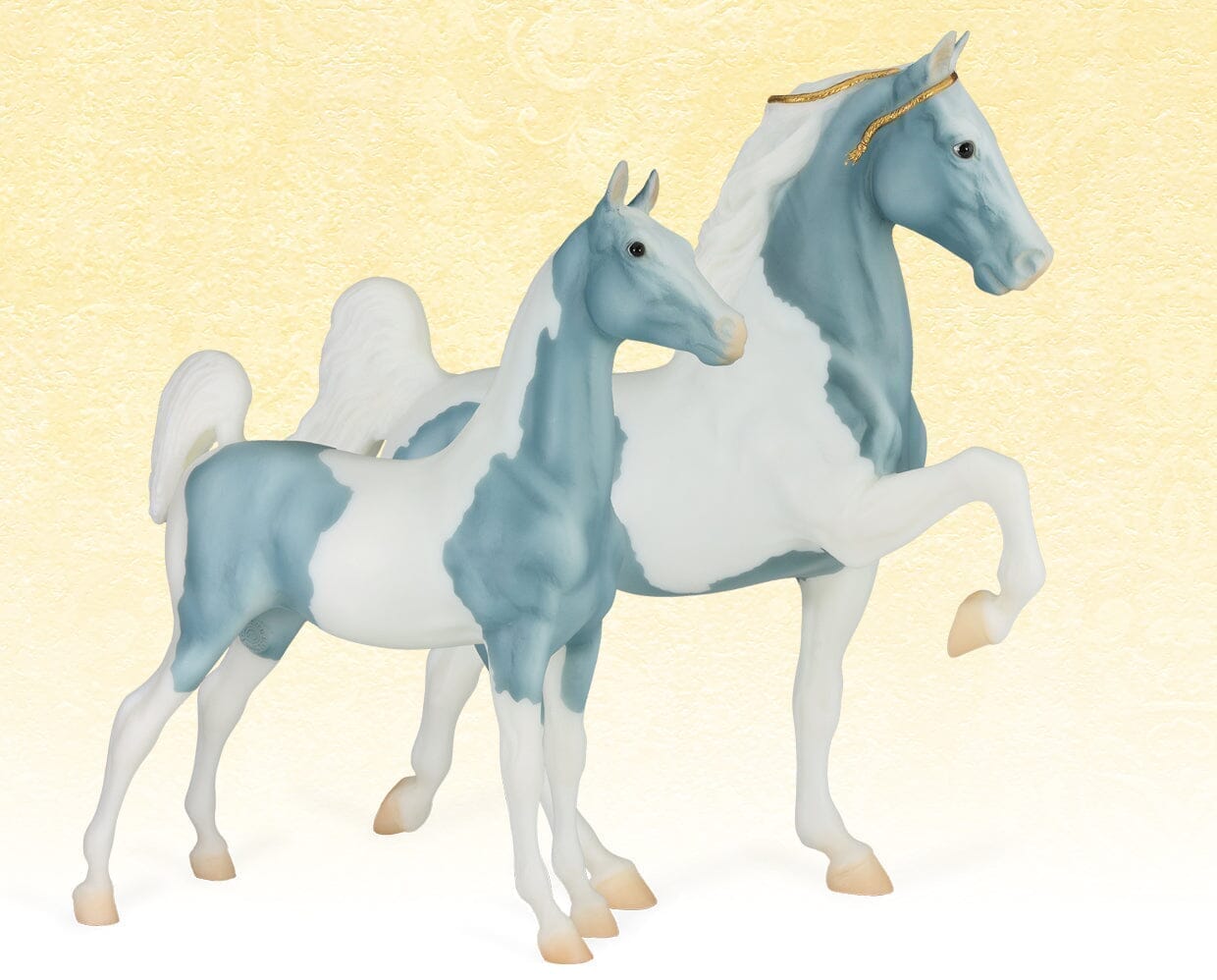 Admiral & Wings | Retired