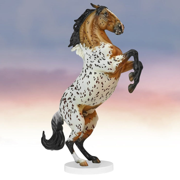 Adonis | 2023 Premier Club