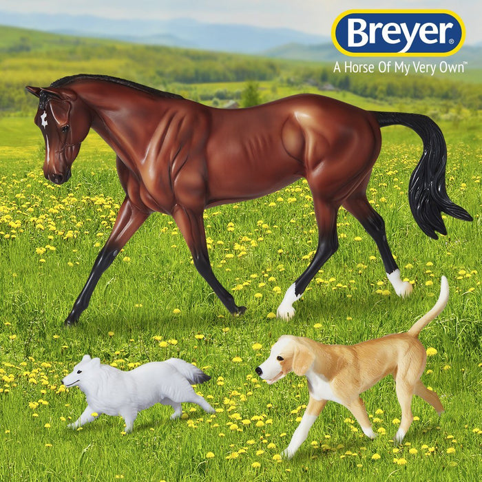 Adopt a Shelter Dog Raffle Winners!