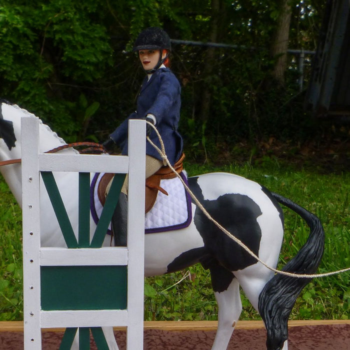 An Introduction to Working Equitation