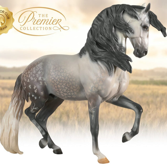 Anamar | 2022 Premier Club