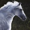 Artisans’ Gallery Spotlight: Phariss Horses