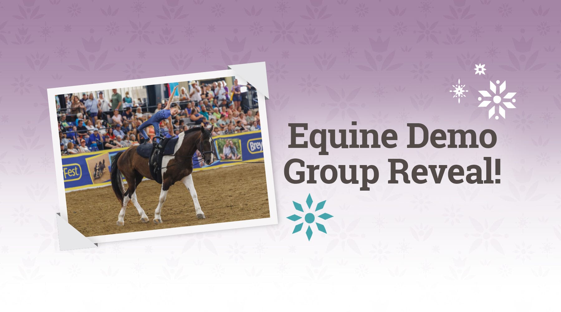 Barreling Into BreyerFest!