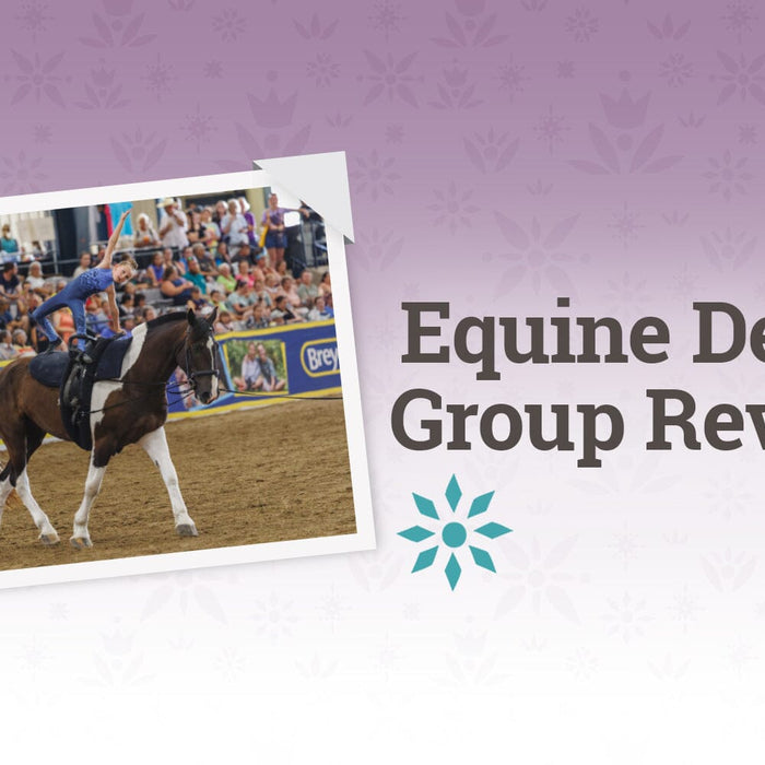 Barreling Into BreyerFest!