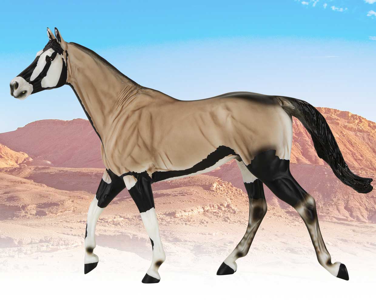 Baruti | 2021 Collector Club