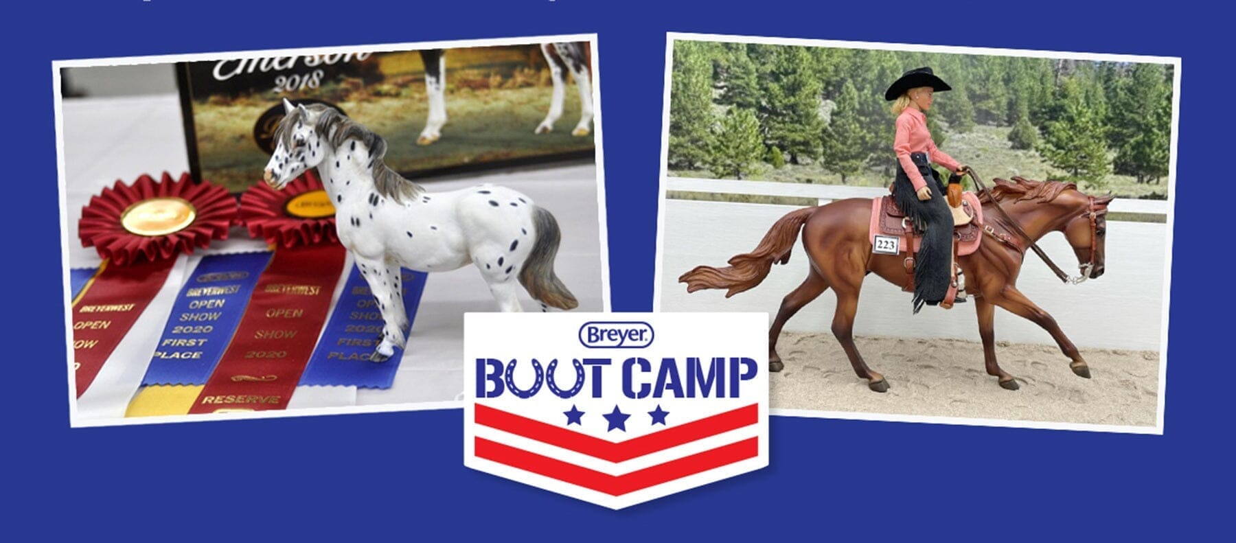 Breyer Boot Camp
