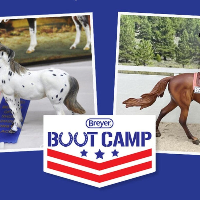 Breyer Boot Camp