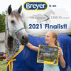 Breyer is an Equine Industry Vision Award Finalist!