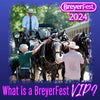 BreyerFest 2024 VIP Swag Bag!
