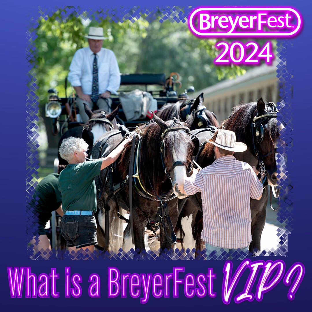 BreyerFest 2024 VIP Swag Bag! —