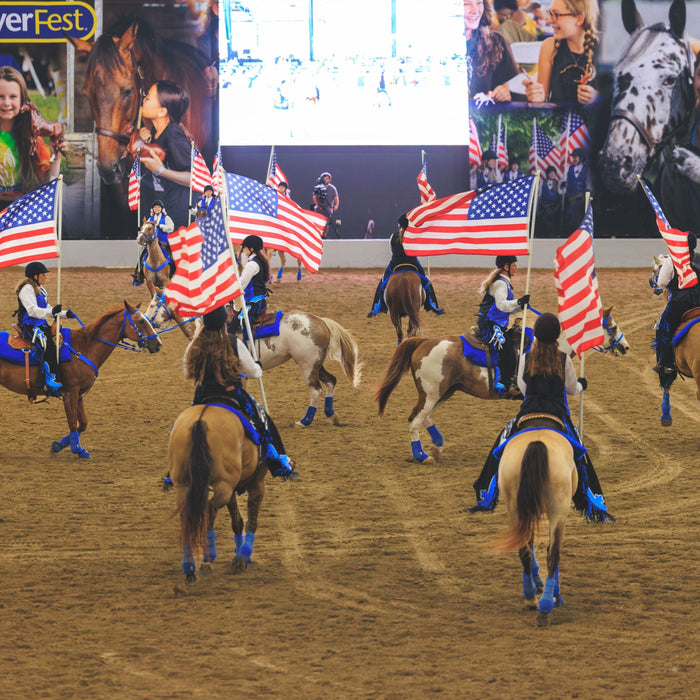 BreyerFest 2027 Equine Extravaganza Demonstrators Wanted!