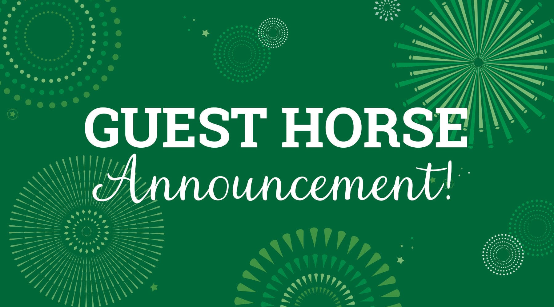 BreyerFest Guest Horses Recap!