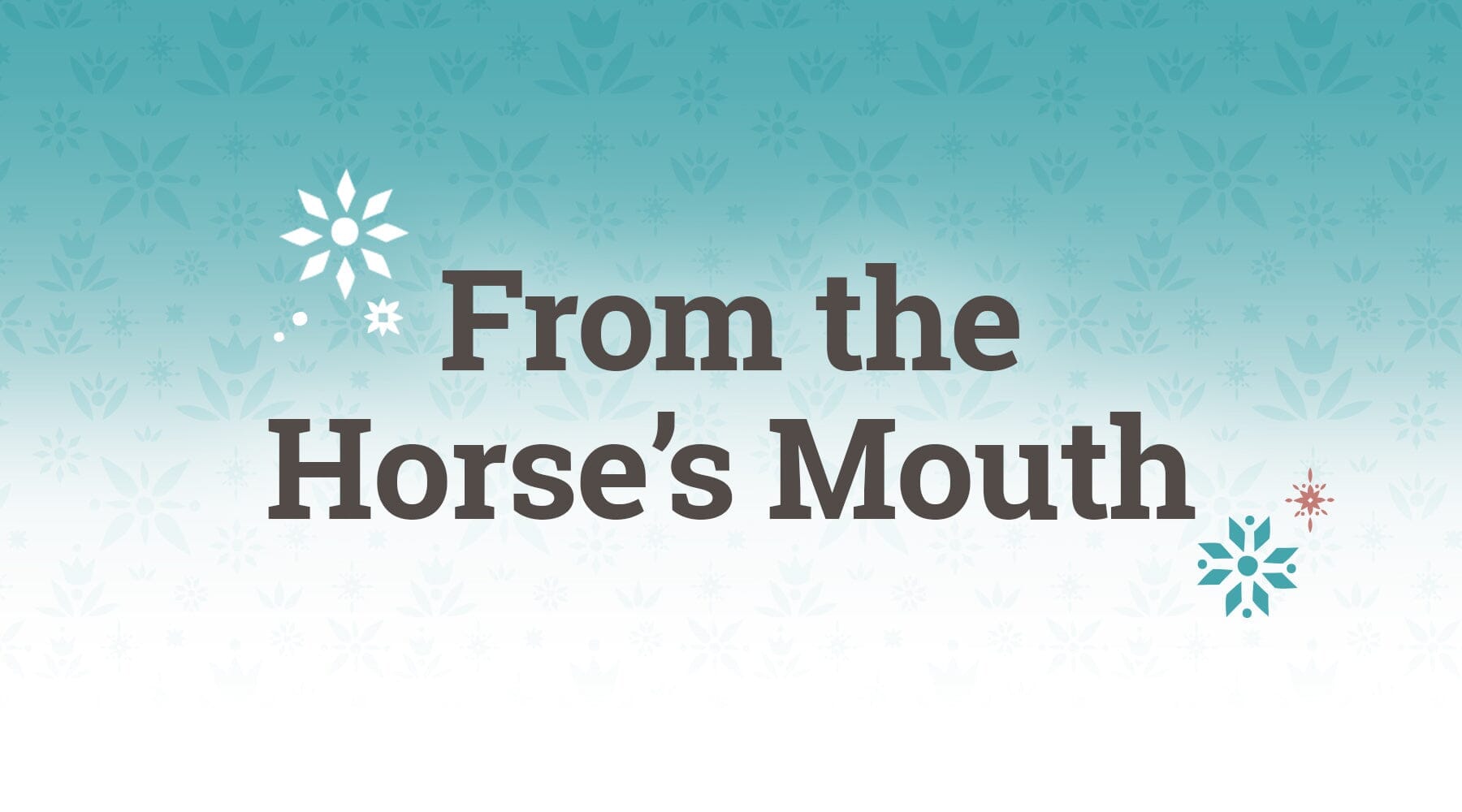 BreyerFest Has So Much To Offer!