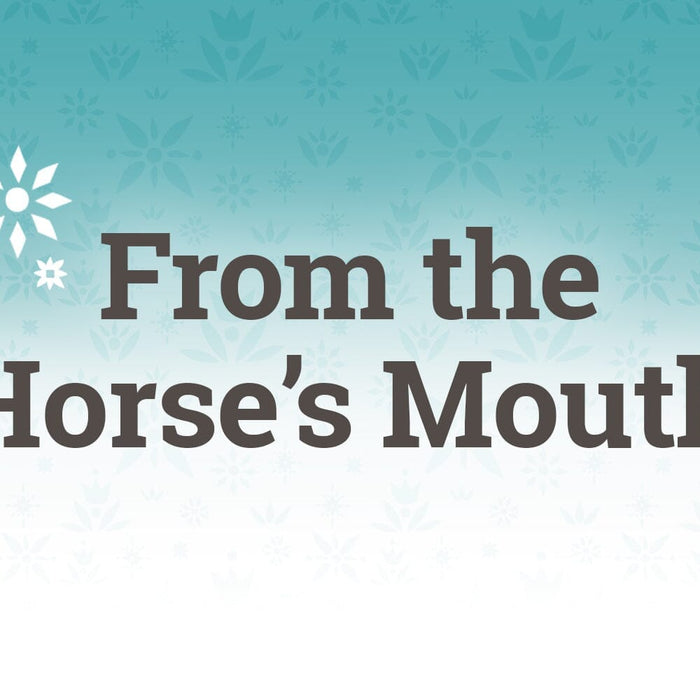 BreyerFest Has So Much To Offer!