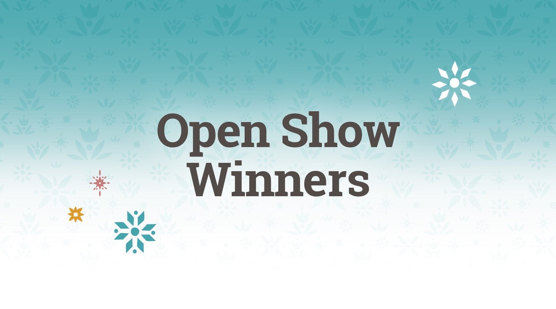BreyerFest Open Show Winners!
