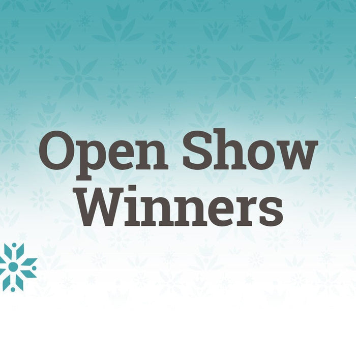 BreyerFest Open Show Winners!