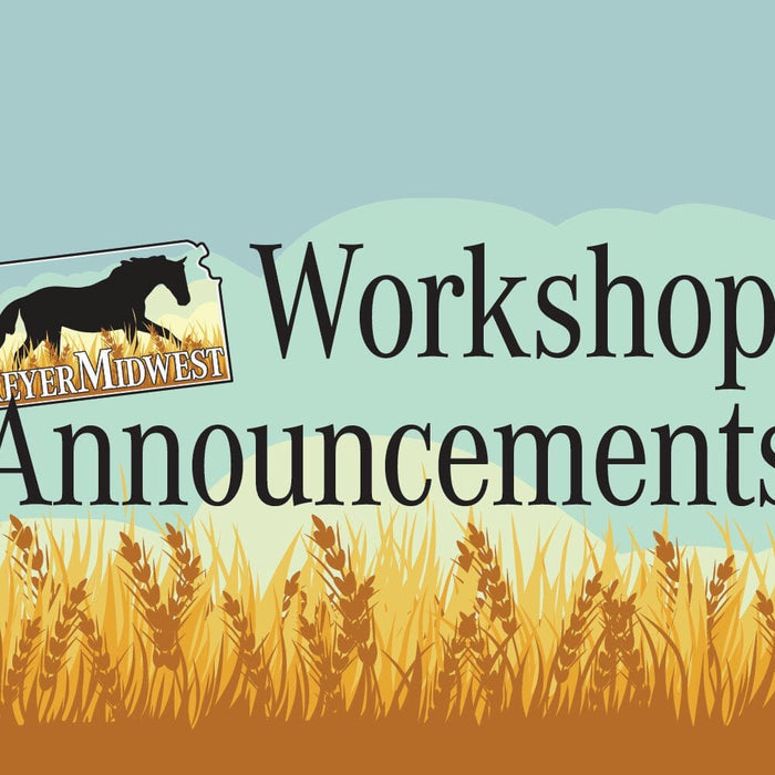 BreyerMidwest Workshops