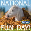 Breyer's 2023 National Fun Day