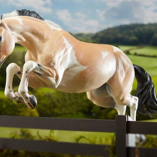 Bristol | 2018 Premier Collection