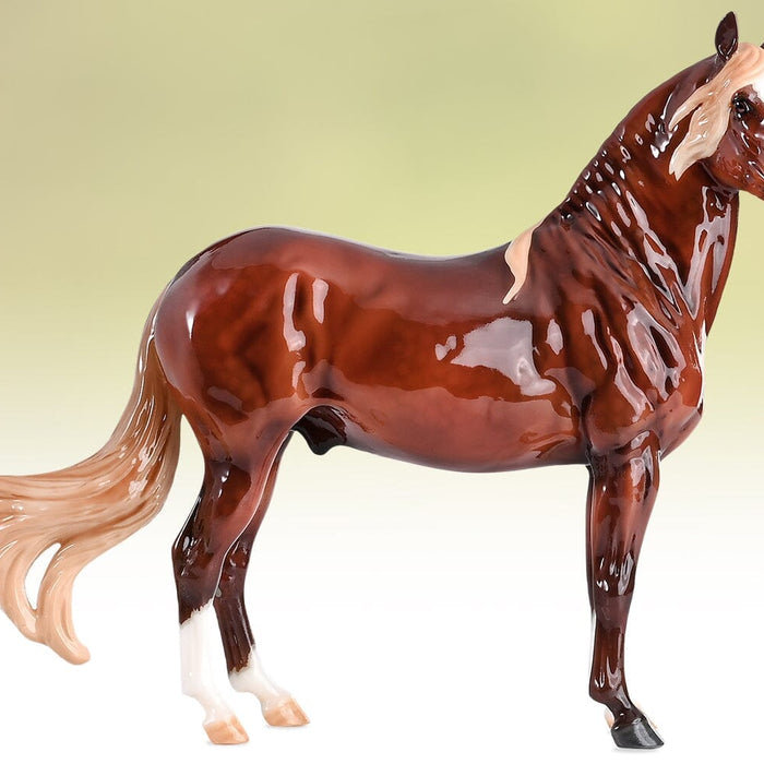 Canción | Glossy Finish | 2023 Premier Club