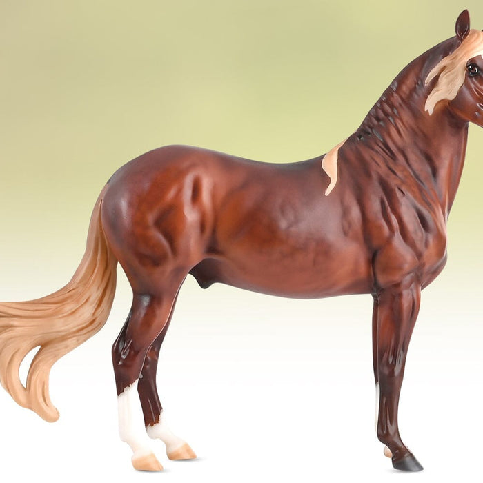 Canción | Matte Finish | 2023 Premier Club