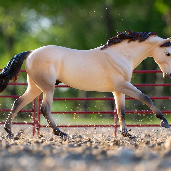 Cash | Quarter Horse | Retired