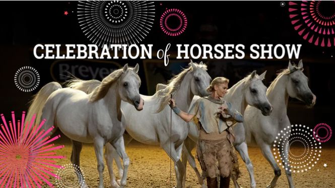 Celebration of Horses Evening Show Recap!