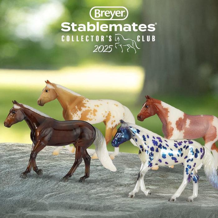 Chickadee | 2025 Stablemates Club