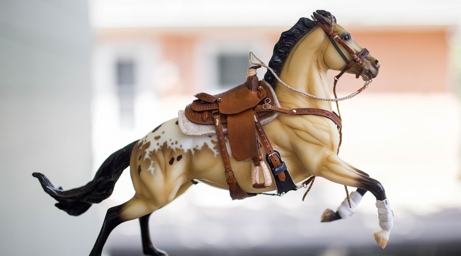 Choosing the Correct Western Tack