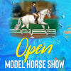 Congratulations to all of our Open Show Winners!