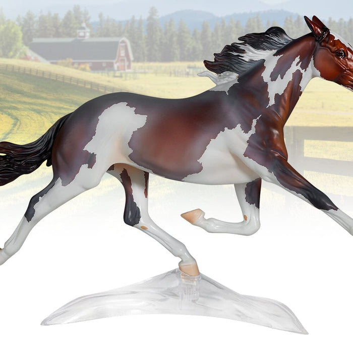 Constantia | 2022 Premier Club