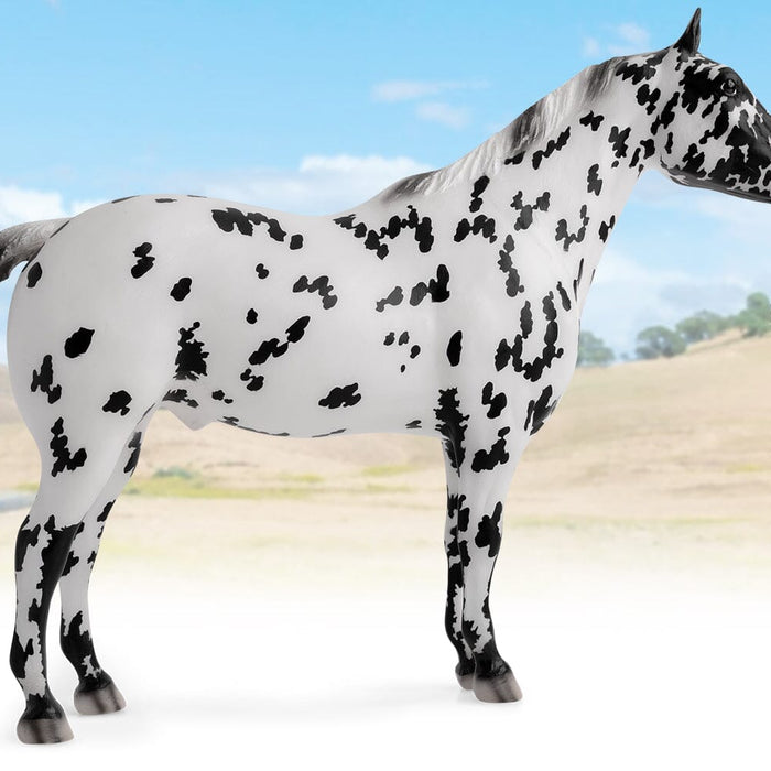 Cooper | 2022 Vintage Club