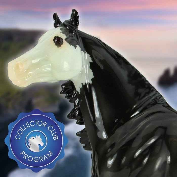 Dancing into the Collector Club: Jota!