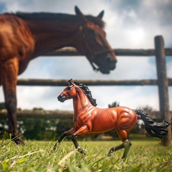 BreyerFest Blog Page 47